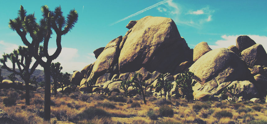 Joshua Tree's rock climbing grades are more difficult than expected.