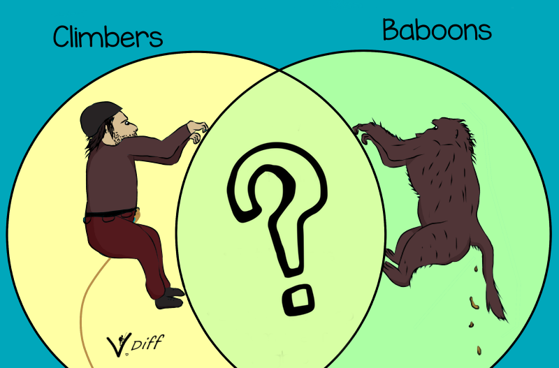 Climbers Vs Baboons