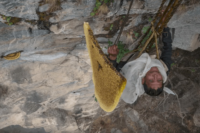 The Last Honey Hunter: Behind the Scenes with Renan Ozturk & Mark Synnott in Nepal
