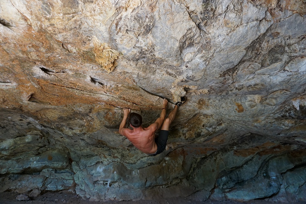 The Temple Touchy Hely V5