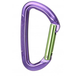 Wild Country Session Straight Gate Carabiner - Purple/Green